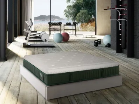 Body Trainer